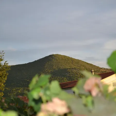 Guest house Pansion Blazevic 3*